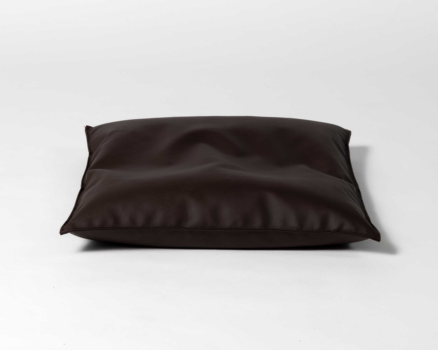 Bean Bag Chair or Pillow Faux Leather