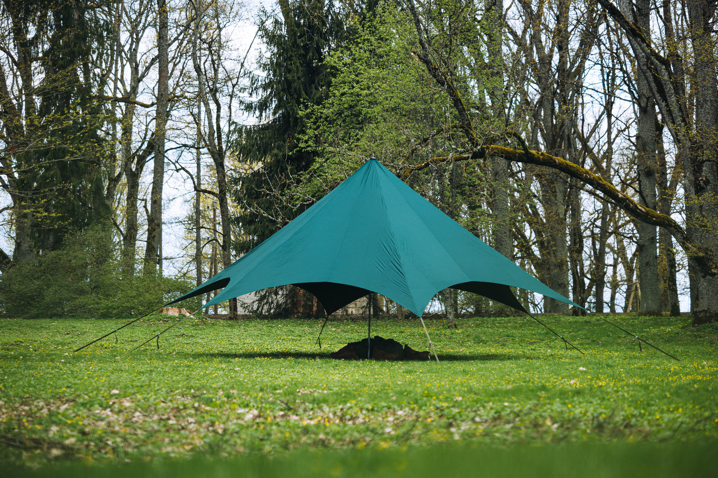 Star Tent